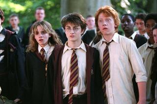 Serial Harry Potter ze zróżnicowaną rasowo obsadą. Główni aktorzy mogą wyglądać inaczej!