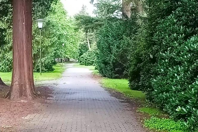 Ohlsdorfer Friedhof w Hamburgu