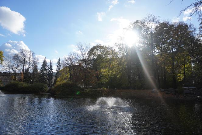 Park Wilsona jesienią