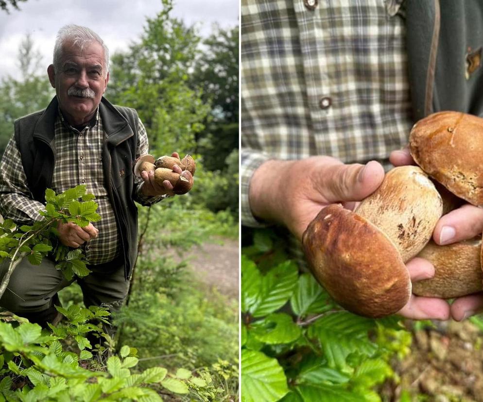 Bieszczady zasypane grzybami