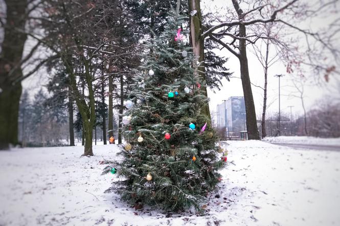 Święta w parku Poniatowskiego