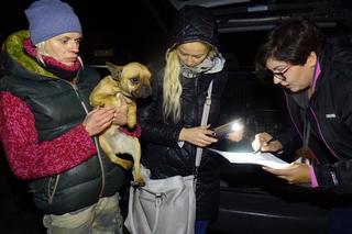 Pseudohowla w Białych Błotach