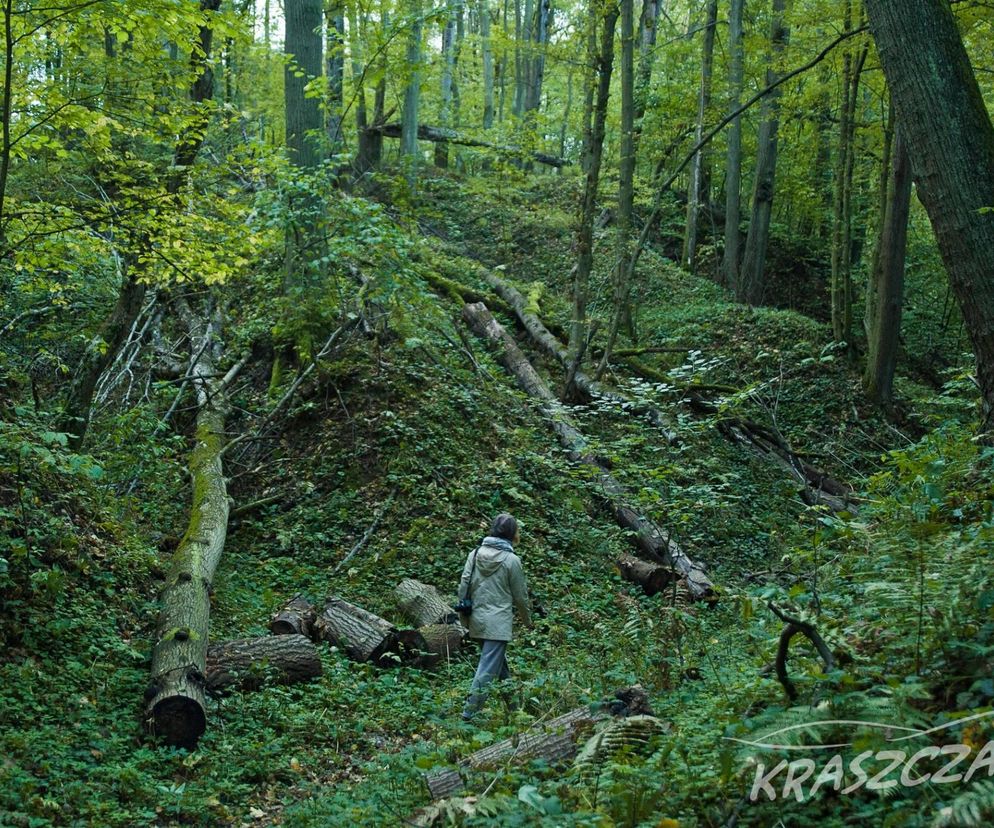 Kraszczady
