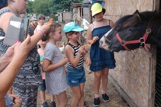 Gospodarstwo wiejska zagroda