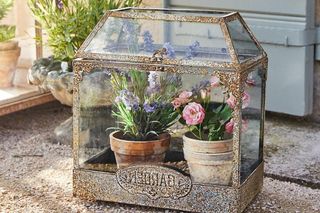 Miniszklarnia na balkon - Loberon