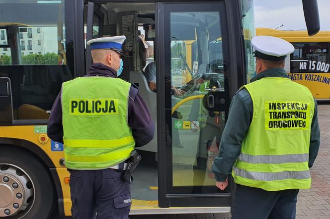 Trwają kontrole kierowców miejskich autobusów w Koszalinie