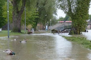 Krosno Odrzańskie. Sztab kryzysowy wprowadził alarm powodziowy