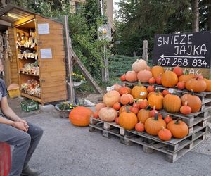 Wszystko prosto od rolnika i gospodyni spod samego gospodarstwa. Ludzie pokochali samoobsługowy warzywniak