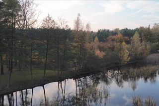 Idealne miejsce na jesienny spacer w Śląskiem - Kamień 