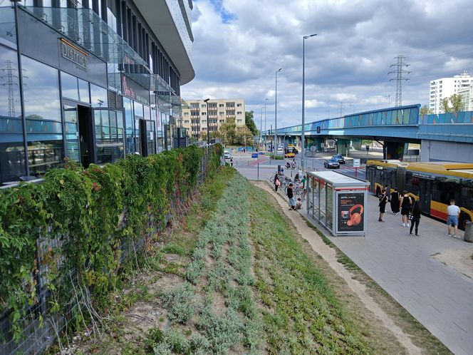 Osiedle Bliska Wola Tower w Warszawie