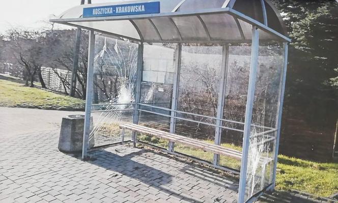 Dwaj 17-latkowie zniszczyli samochód, wiatę przystankową i witrynę sklepu