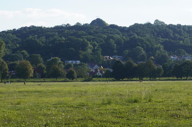 Widok na Kopiec Kościuszki