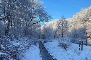 Dolina Gęśnika w Zielonej Górze w styczniu 2023 r.