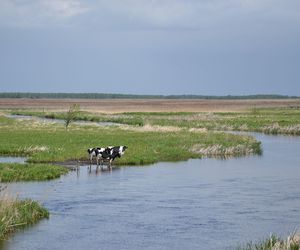 Najlepsze trasy wodne w Podlaskiem na letni weekend 
