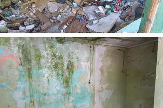 Co dalej z budami przy ul. Kolejowej w Olsztynie? Prezydent: „Istnieje szereg nieuregulowanych kwestii”