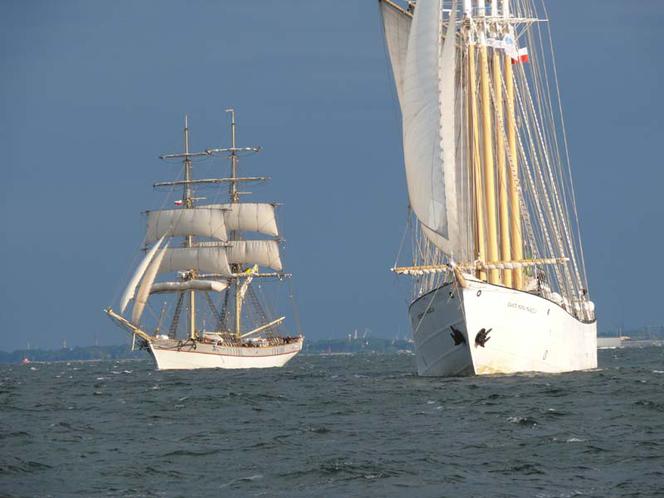 ParadaZagleGdyni2014_FotMZwierz_710274