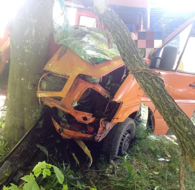 Samochód uderzył w drzewo