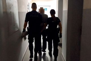 Areszt za uprawę marihuany. 