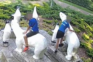 Zniszczyli pingwina i uciekli