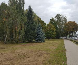 Park Jonstona w Lesznie będzie większy. Zmienić może się nie tylko to miejsce