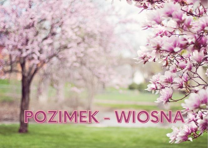 Zapomniane słowa w języku polskim! Znasz chociaż jedno?