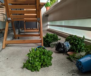 Balkon po burzy