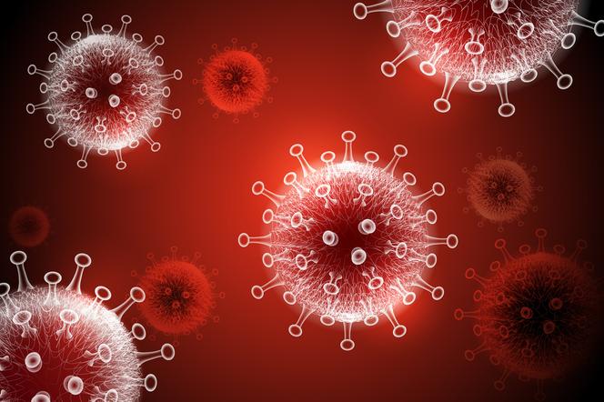 Niedzielski: obserwujemy mniej więcej 60-procentowe wzrosty zakażeń koronawirusem