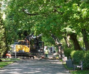 Rewitalizacja Parku Planty. Tak wyglądają majowe prace w centrum Białegostoku