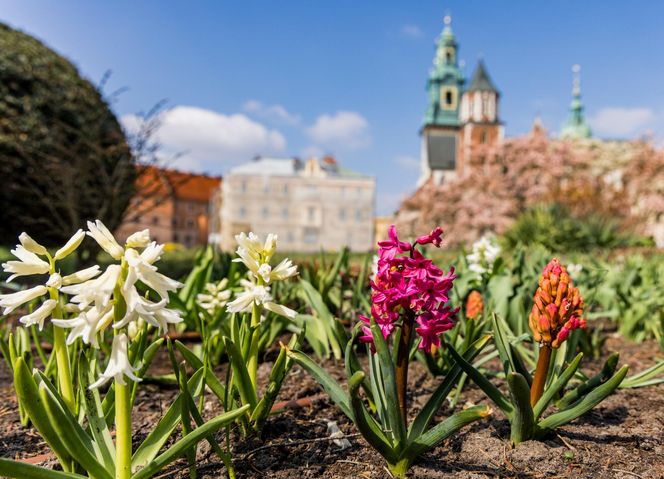 To najdroższe muzeum w Polsce. Za rodzinne zwiedzanie musimy zapłacić ponad 300 zł