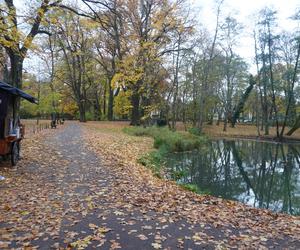 Park Sołacki w Poznaniu jesienią