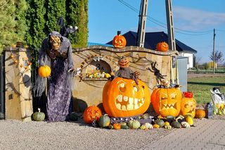 U Łukasza z Pawłowa hasło cukierek albo psikus nabiera innego wymiaru. Najbardziej halloweenowy dom świętokrzyskiego