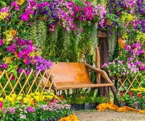 Kwiaty, które kwitną całe lato. Posadź w ogrodzie lub na balkonie i ciesz się nimi aż do późnej jesieni. Te kwiaty pięknie wyglądają i pachną