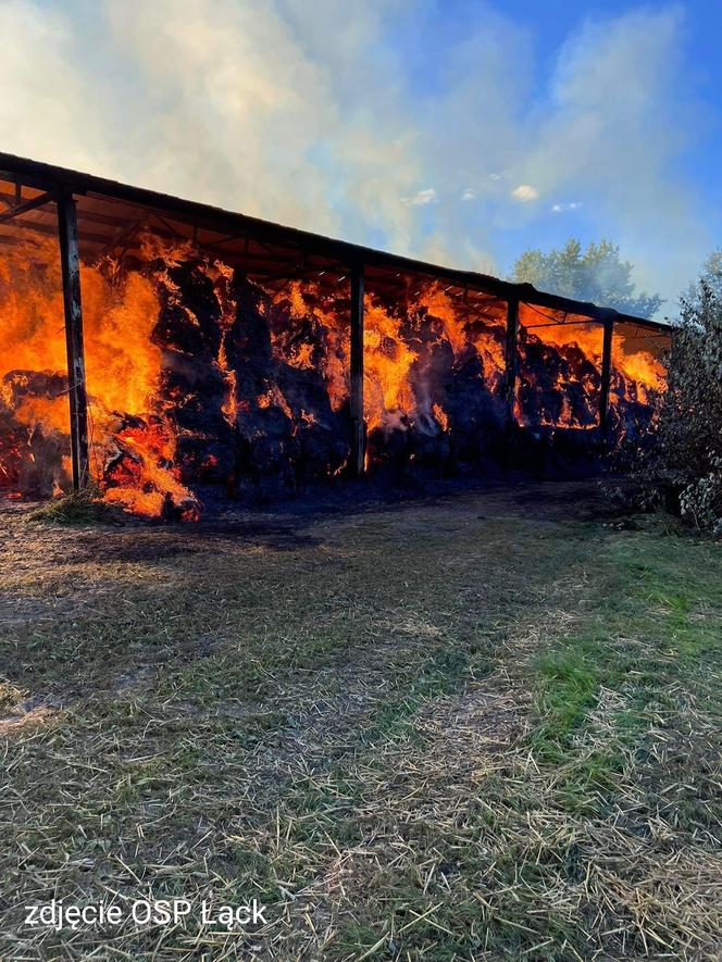 Pożar w Stadzie Ogierów w Łącku pod Płockiem