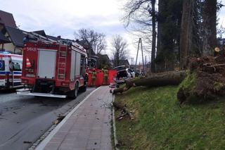 Tragiczny bilans wichur w Małopolsce. Pięć ofiar śmiertelnych i setki interwencji służb