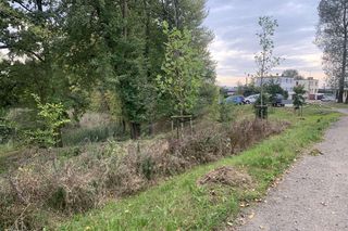 Czyżkówko wyróżnia się niską zabudową, głównie jedno- lub kilkurodzinną