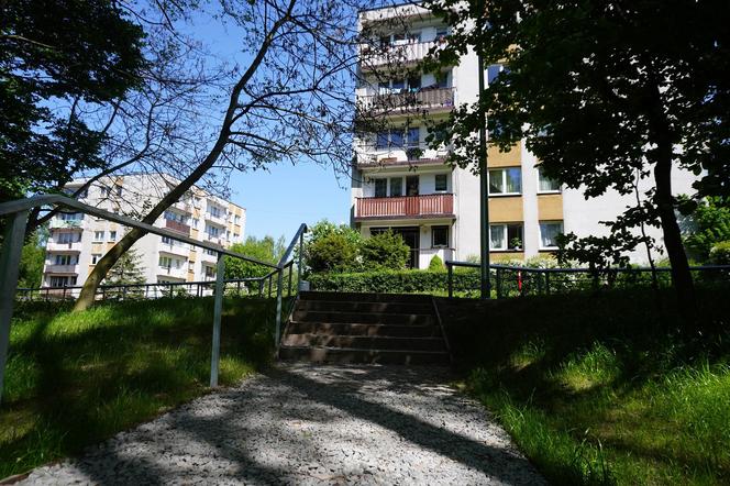 Tak wygląda park w dolinie Ślepiotki w Katowicach