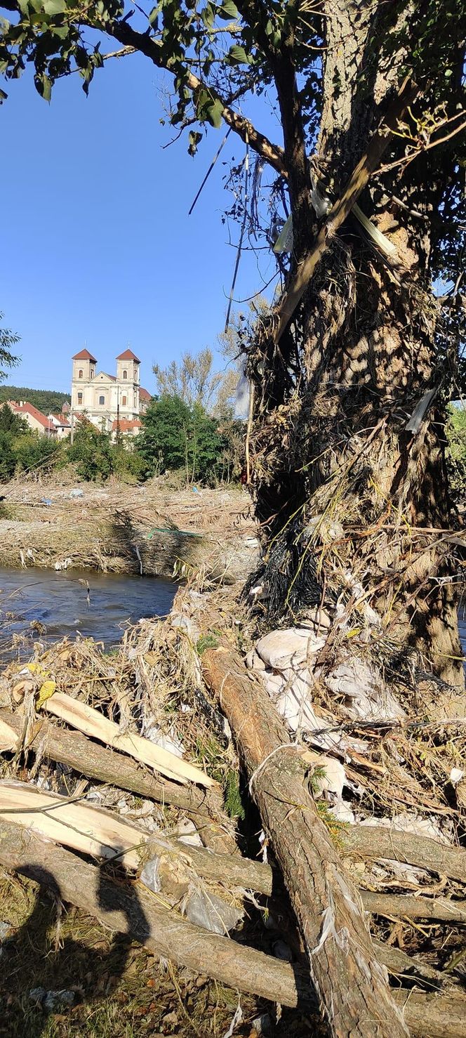 Gmina Bardo apeluje o wsparcie. "Straty przerastają nasze możliwości" 