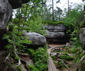 Błędne Skały to polska wersja Bryce Canyon. Są zaledwie kilka godzin od Wrocławia