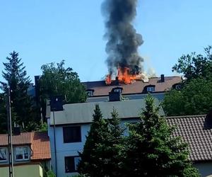 Pożar szkoły w czasie matury z języka angielskiego. Co dalej z egzaminem?