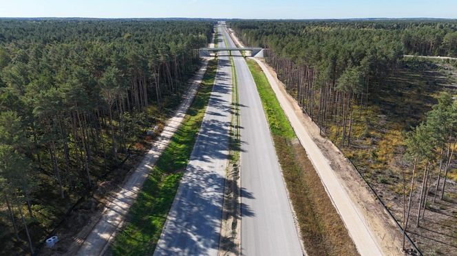 Budowa drogi S19 na odcinku Boćki (bez węzła) - Malewice
