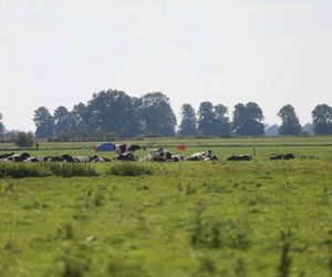 Szczątki drona w Oleśnie znalazł mieszkaniec. Z dwa metry na półtorej takiej wielkości