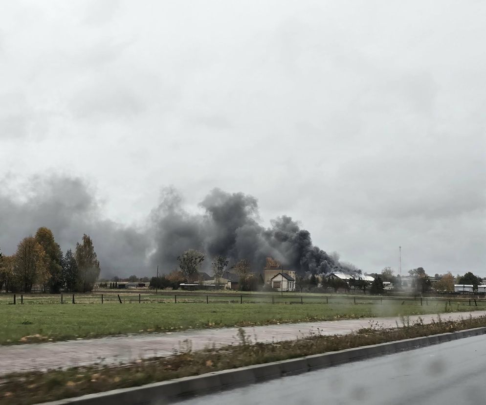 Pożar hali pod Lublińcem. Strażacy walczą z żywiołem