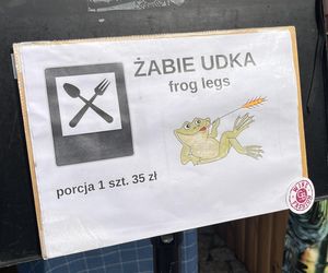 Europejski Festiwal Smaku w Lublinie. Gości kusiły krajowe i lokalne specjały
