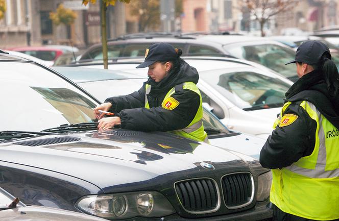 Nie trzeba płacić mandatów za brak biletu za szybą