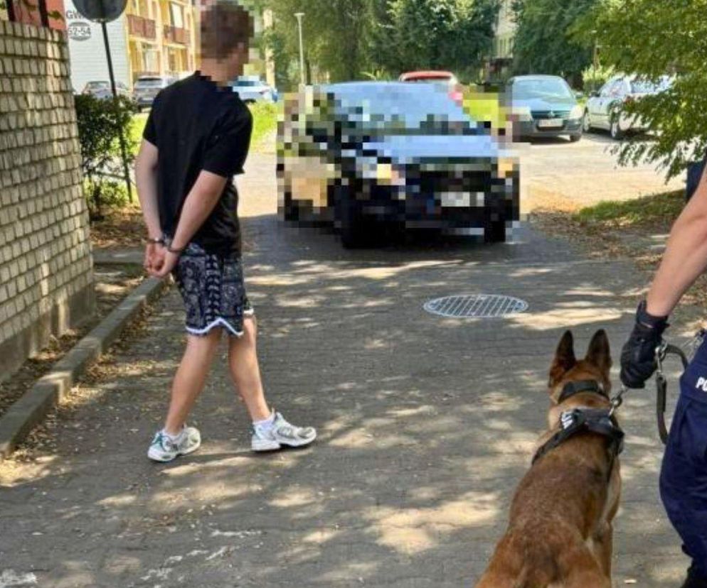 Po kolizji ukrył się w śmietnikach. „Rampa” znalazła go w minutę
