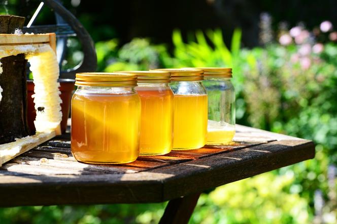 Miód podlaski. Pszczelarze z Podlasia mogą oznakować swoje miody wspólną etykietą promocyjną