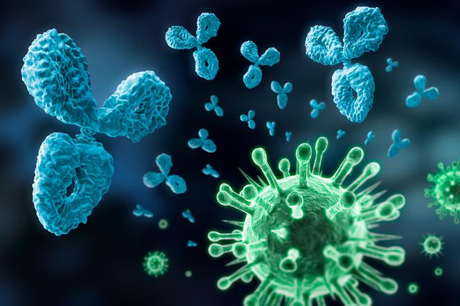 Pamięć immunologiczna - czy nasz układ odpornościowy potrafi się uczyć?