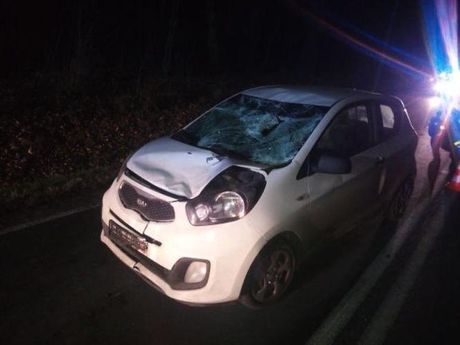 Broniszów: HORROR na drodze. 45-latek NIE ŻYJE. Co tam się stało?! [ZDJĘCIA]