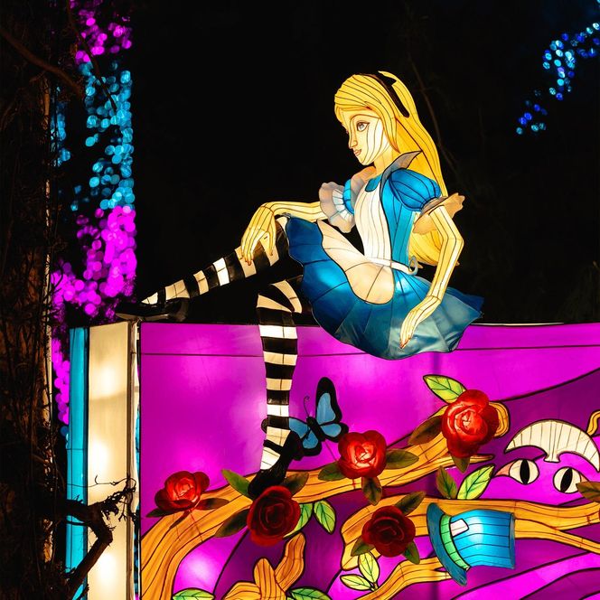 Śląsk zamienia się w Krainę Czarów. Ta magiczna wystawa świateł to absolutny hit jesieni i zimy