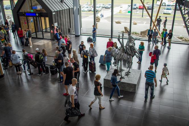 Żurawie Warmińskie  wylądują w Parku Centralnym [AUDIO, FOTO]